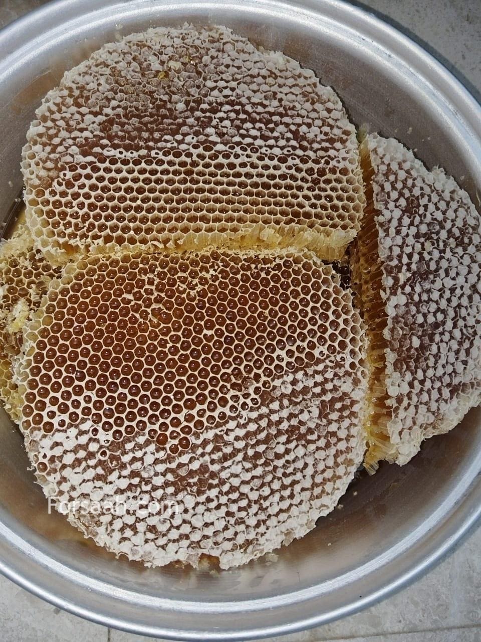 عسل بلدي طبيعي 100٪ من انتاج مدينه الطائف