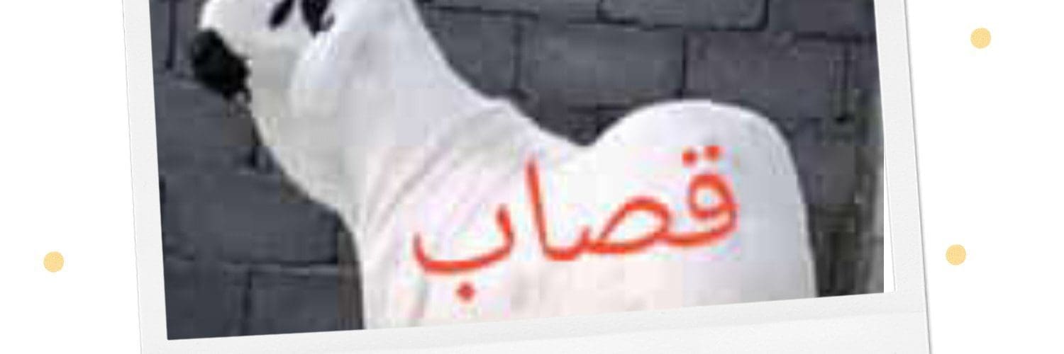 جزار بالرياض قصاب بالرياض ماهر 0508857593 زباح بالرياض