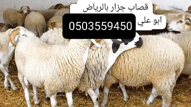 قصاب ماهر جزار سريع بالرياض 0503559450