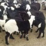 طش الأغراض القديمة بالرياض 0500634119