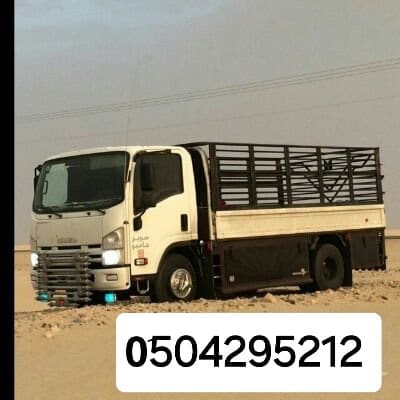 دينا نقل عفش شمال الرياض