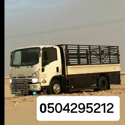 دينا نقل عفش شرق الرياض