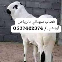 ارقام قصابين ماهري بالرياض 0537422374