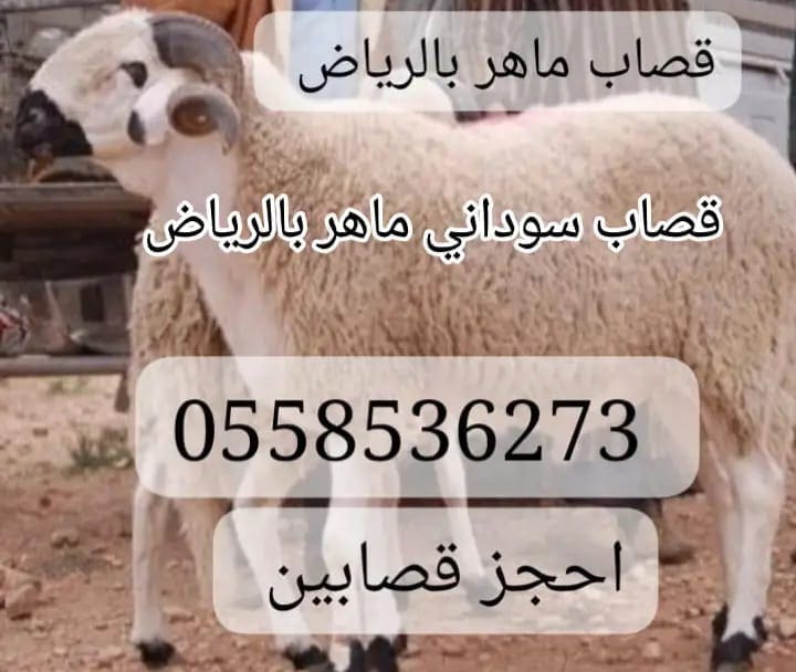 رقم جزارين سودانين شمال الرياض 0558536273 قصاب ماهر شرق الرياض