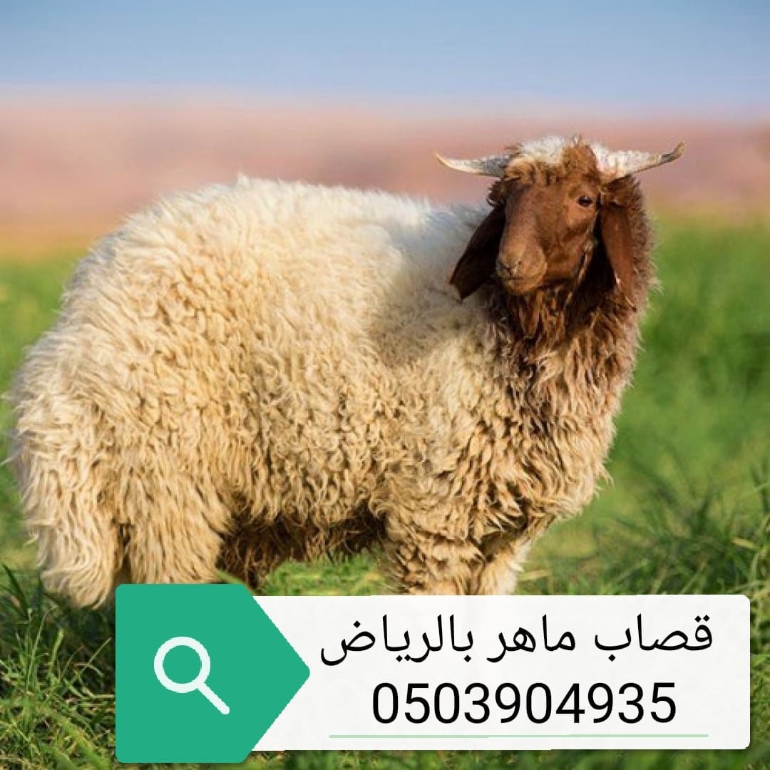 قصاب ماهر بالرياض 0553514375 قصاب بالرياض