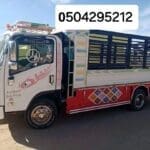 دينا نقل عفش غرب الرياض